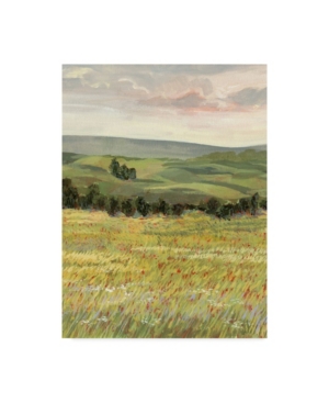 TRADEMARK GLOBAL VICTORIA BORGES MORNING MEADOW I CANVAS ART