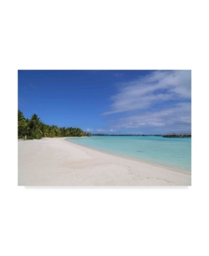 Trademark Global American School Bora Bora Beach Canvas Art In Multi