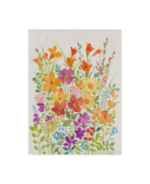 Tim Otoole Hot Summer Mix I Canvas Art - 20