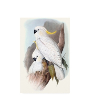 Trademark Global John Gould Pastel Parrots V Canvas Art In Multi