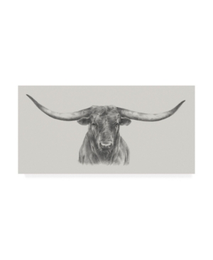 Trademark Global Ethan Harper Longhorn Bull Canvas Art In Multi
