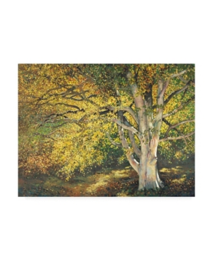Graham Reynolds Golden Light I Canvas Art - 20