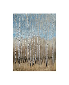 Tim Otoole Dusty Blue Birches I Canvas Art - 15" x 20"