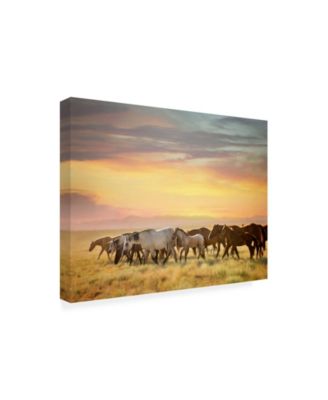 PH Burchett Sunkissed Horses I Canvas Art - 36.5" x 48"