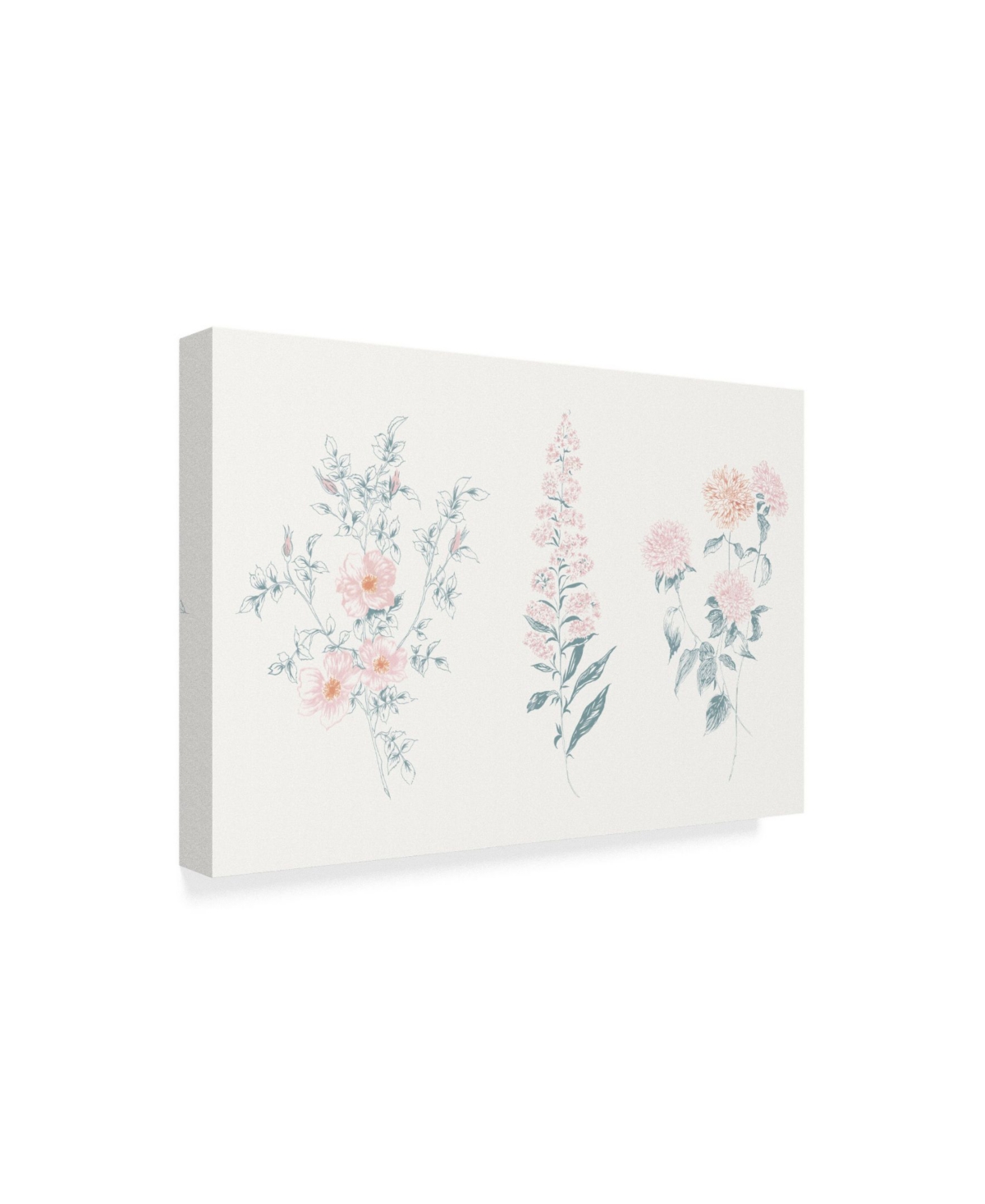 Wild Apple Portfolio Flowers on White Ix Contemporary Canvas Art -