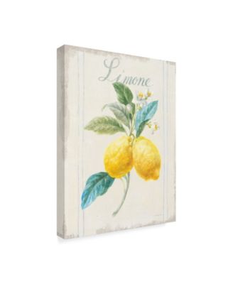 Danhui Nai Floursack Lemon III V2 Canvas Art - 20" x 25"