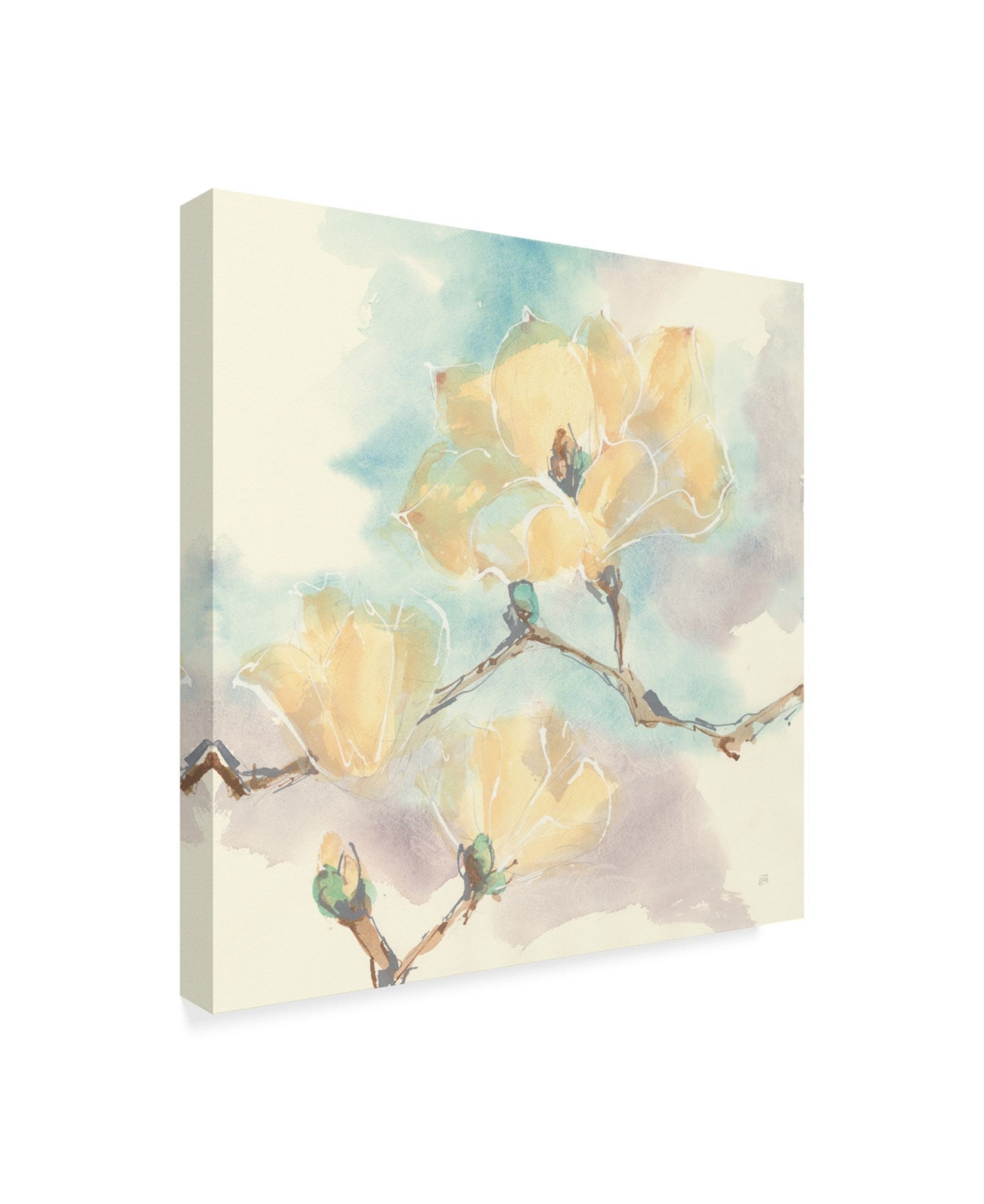 Chris Paschke Magnolias in White I Canvas Art -