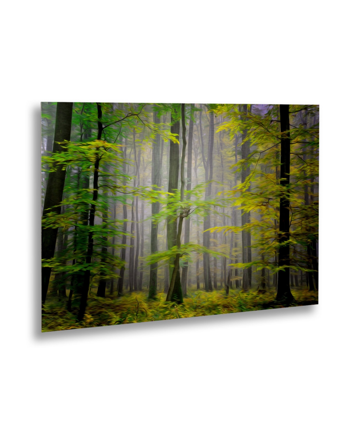 Philippe Sainte-Laudy Sugar Low Floating Brushed Aluminum Art -