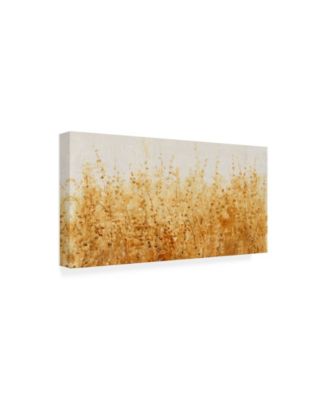 Trademark Global Tim Otoole Ochre Fields I Canvas Art - 15" x 20"