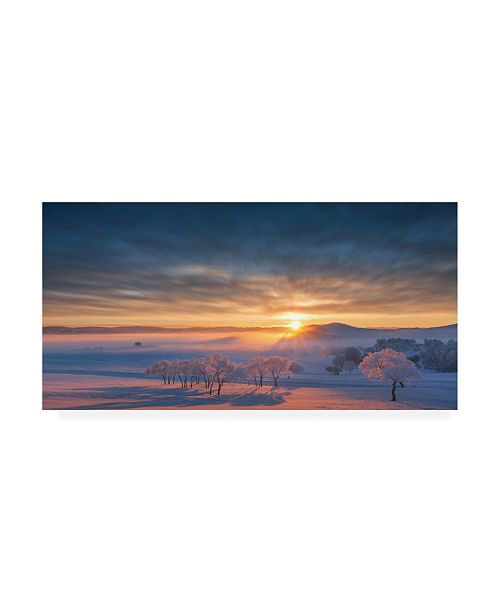 Trademark Global Bingo Z Good Morning Canvas Art - 19.5" x ...