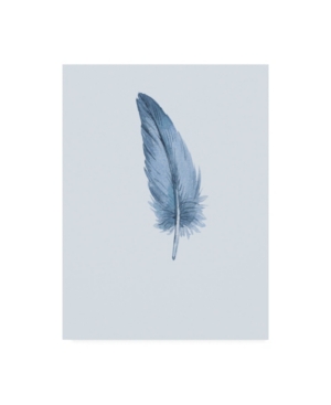 Trademark Global Incado Feather 01 Canvas Art In Multi