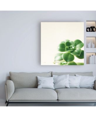 Trademark Global Felicity Bradley Succulent Simplicity VIII Neutral Canvas Art - 36.5" x 48"
