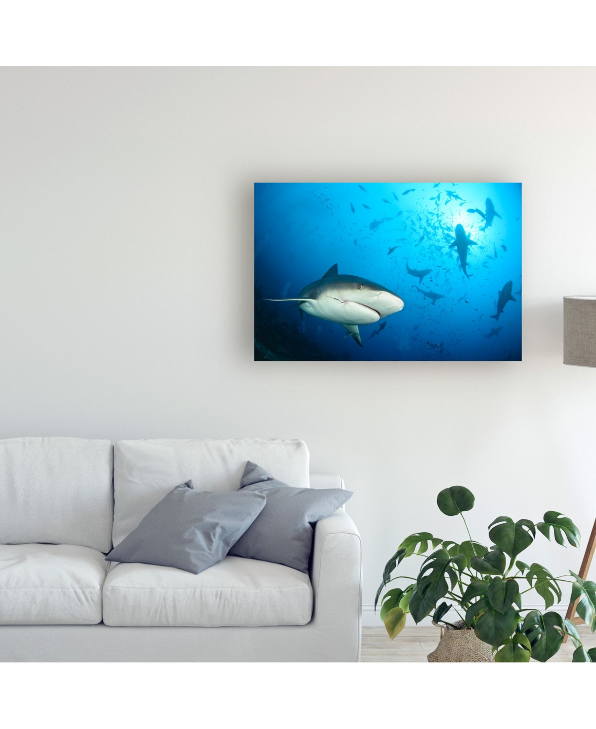 Alexander Safonov Beqa Shark Labs Canvas Art -