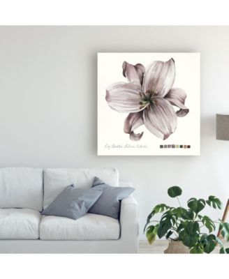 Trademark Global Grace Popp Lilium II Canvas Art - 20" x 25"