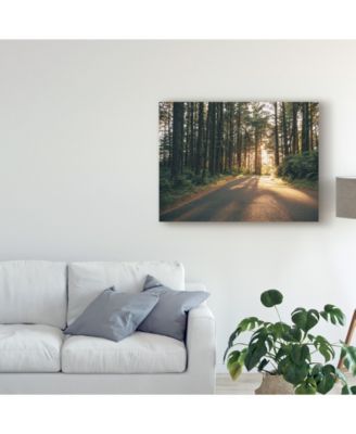 Adam Mead Pacific Northwest Oregon III Canvas Art - 37" x 49"