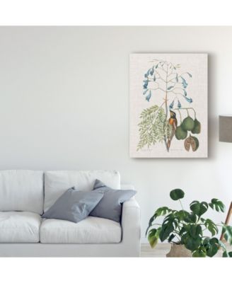 Trademark Global Mark Catesby Studies in Nature II Canvas Art - 20" x 25"