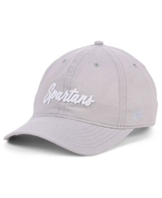 lids michigan hat