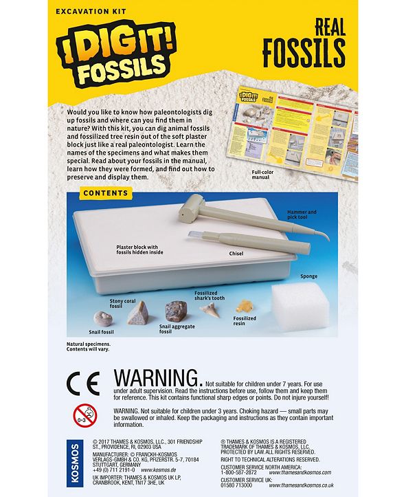 thames and kosmos dinosaur fossils