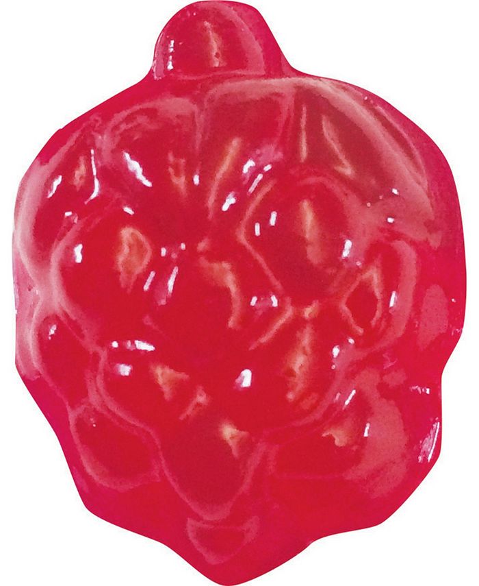 Thames & Kosmos Gummy Candy Lab Macy's