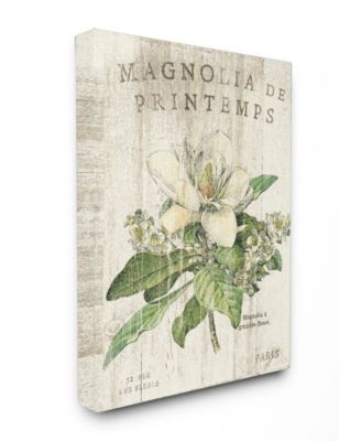 French Magnolias in Spring Canvas Wall Art, 16" x 20"