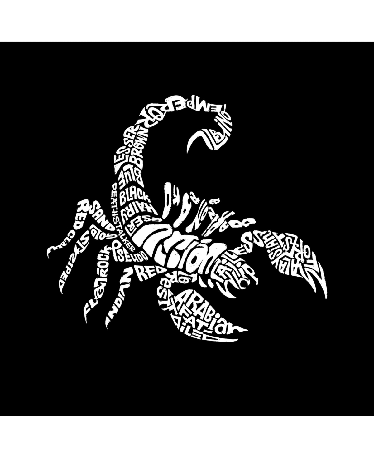 La Pop Art Men's Premium Word Art T-Shirt - Types of Scorpions