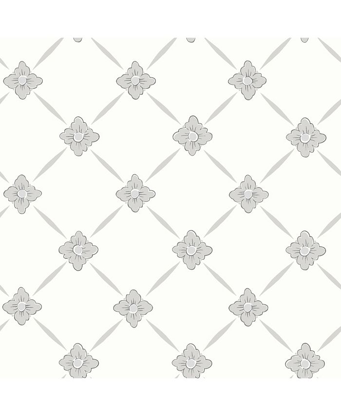 Wall Vision - 