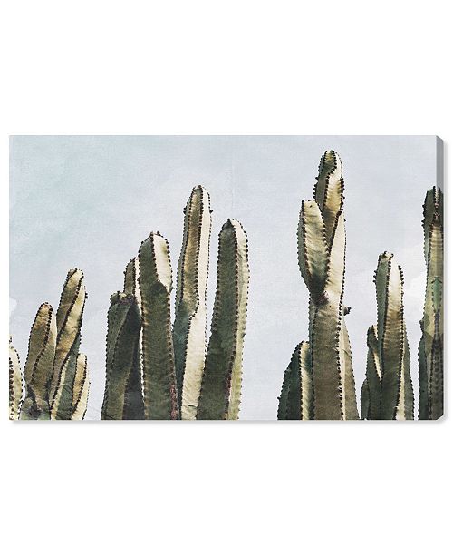 Oliver Gal Muted Cactus Canvas Art Collection Reviews All Wall