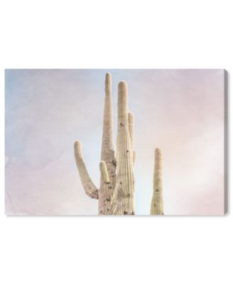 Sunset Cactus Canvas Art - 24