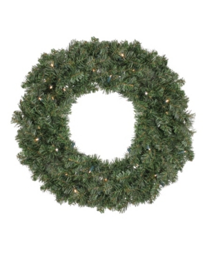 Shop Northlight 24" Pre-lit Led Canadian Pine Artificial Christmas Wreath In Green