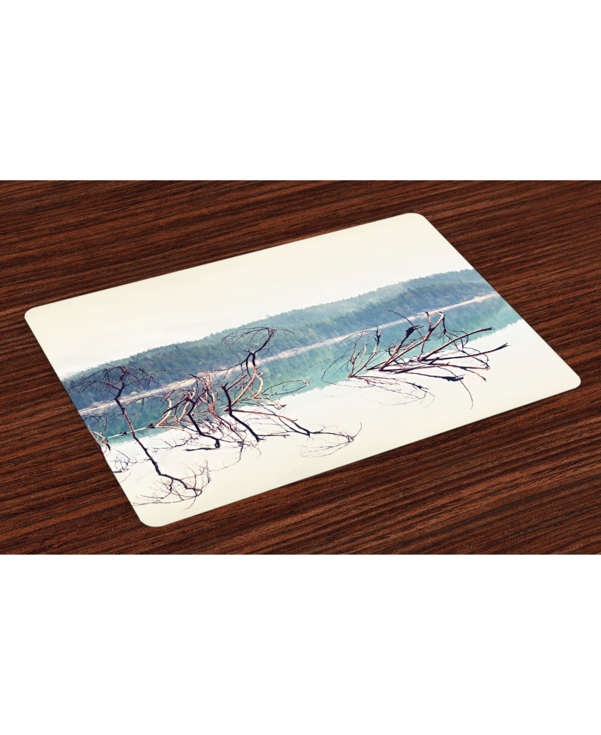 AMBESONNE DRIFTWOOD PLACE MATS, SET OF 4