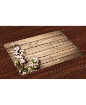 Ambesonne Rustic Place Mats Set of 4