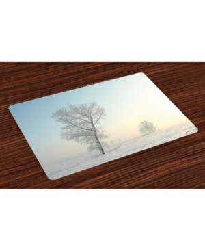 Ambesonne Winter Place Mats Set of 4