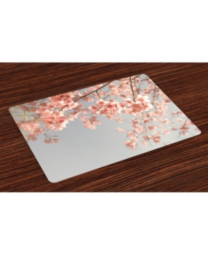 Ambesonne Peach Place Mats Set of 4