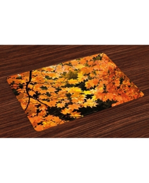 Ambesonne Fall Place Mats Set of 4