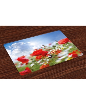 Ambesonne Country Place Mats Set of 4