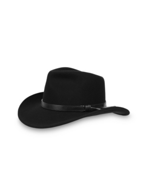 Sunday Afternoons Wool Montana Hat In Black