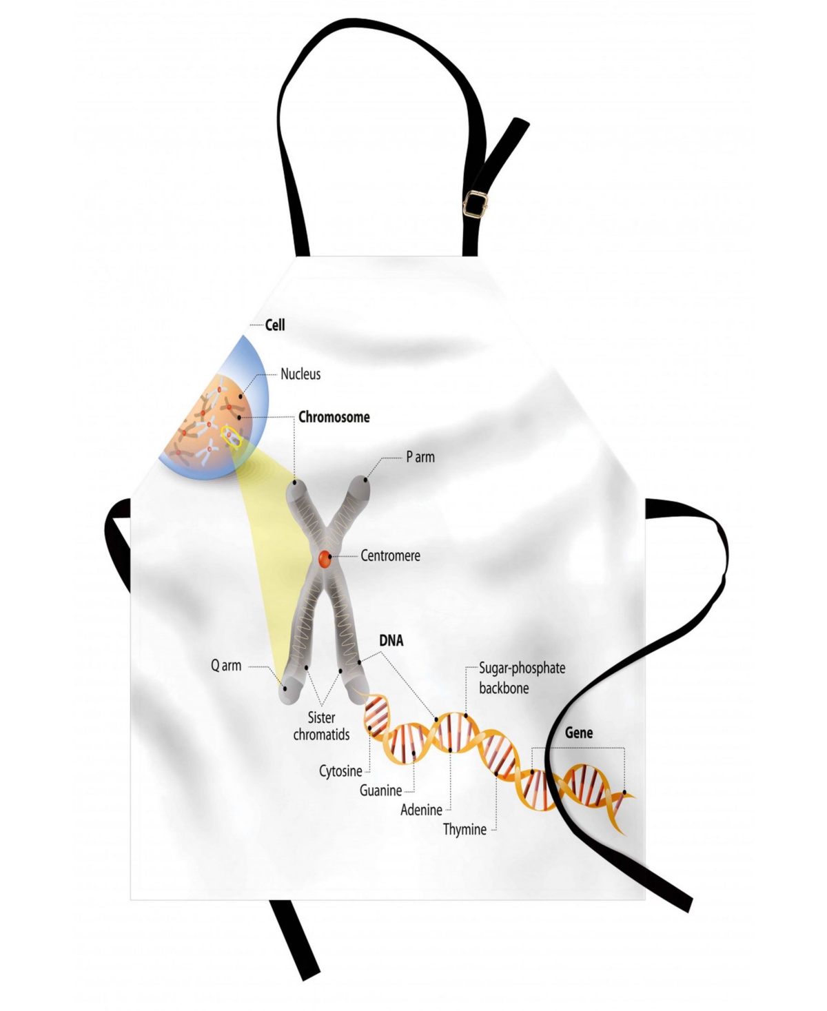 Educational Apron - Multi
