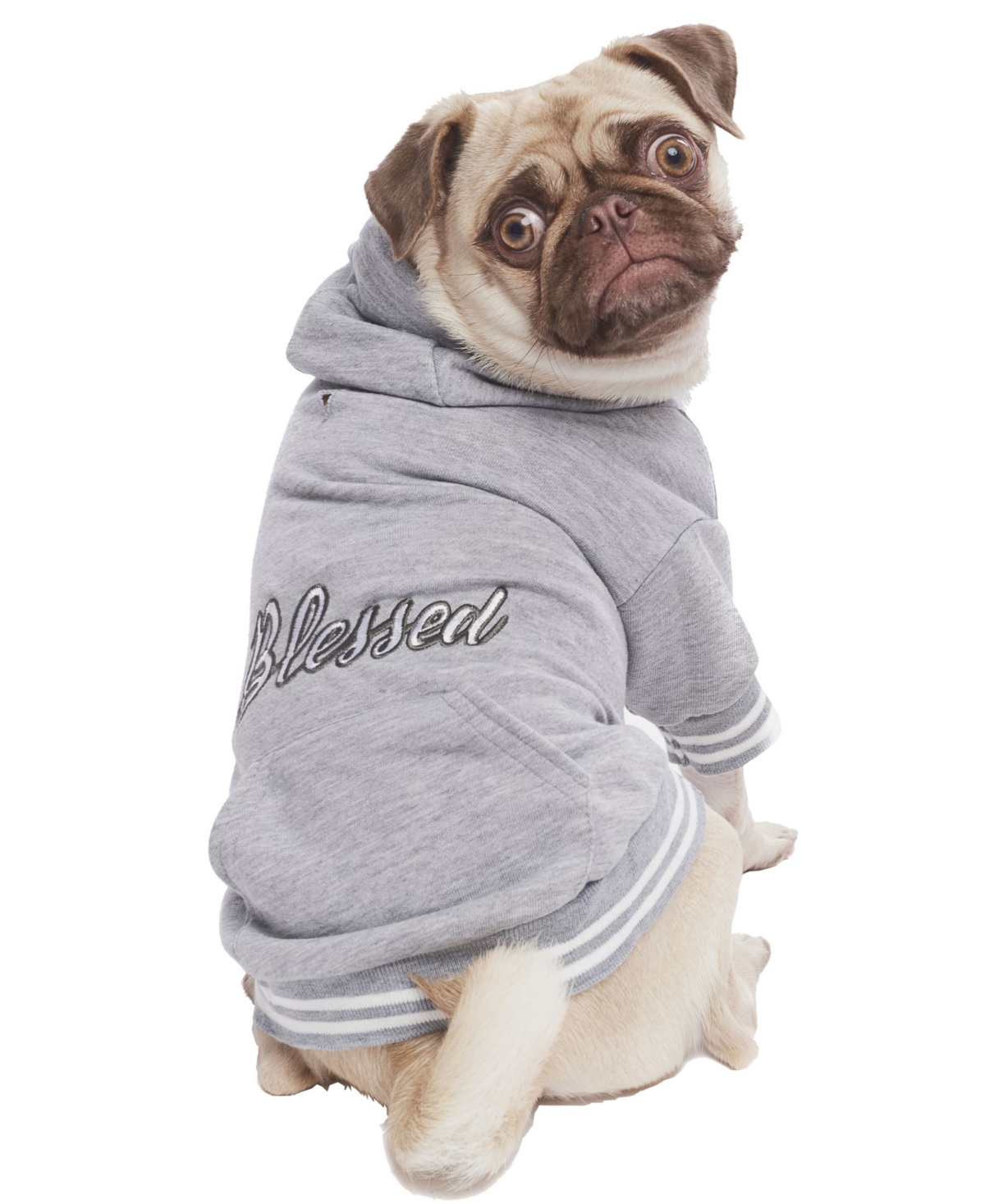 Blessed Dog Hoodie - Gray