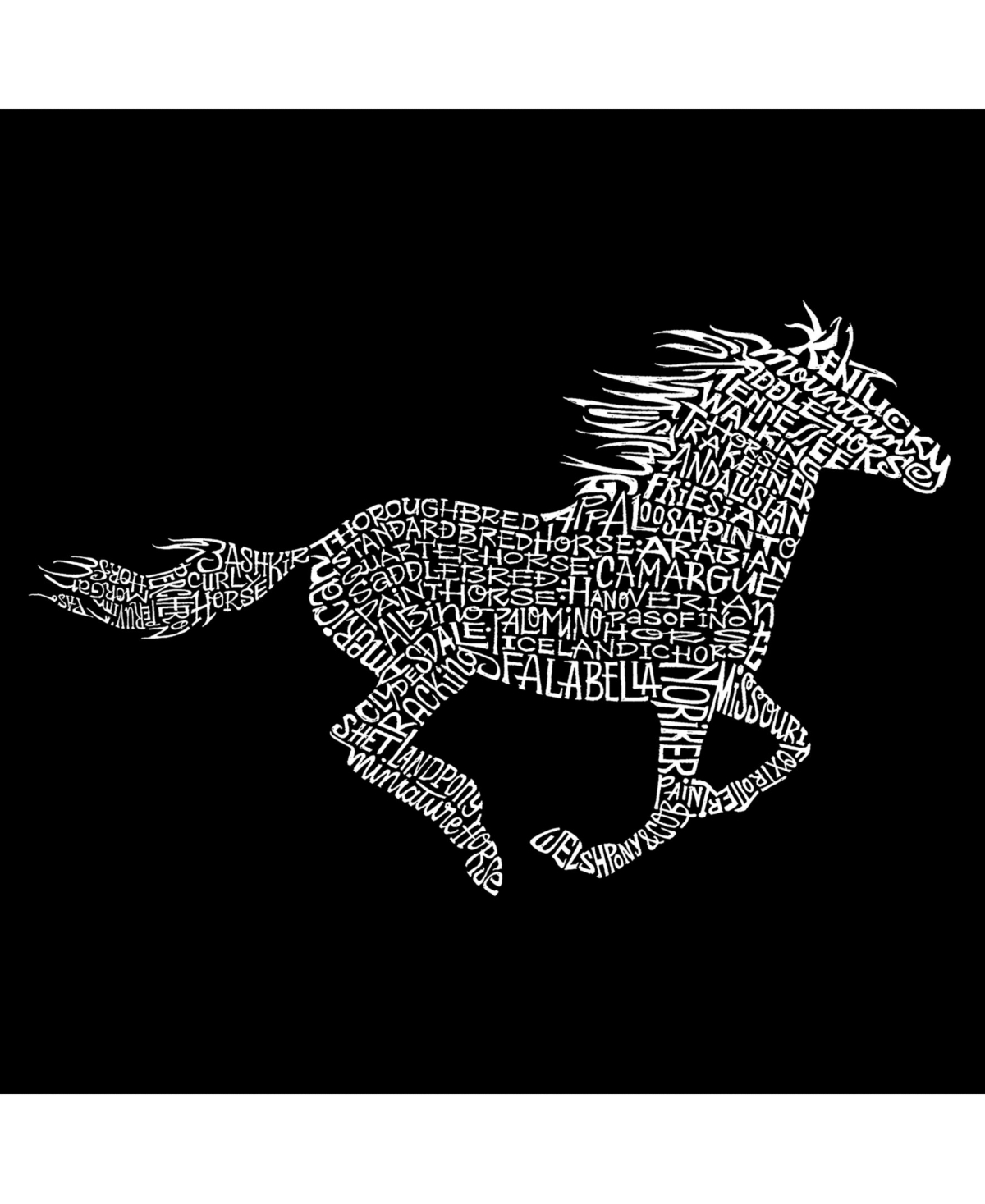 La Pop Art Women's Word Art V-Neck T-Shirt - Horse Breeds