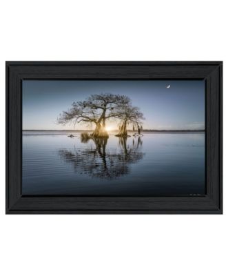 Tree Reflections by Moises Levy, Ready to hang Framed Print, Black Frame, 21" x 15"