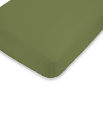 macys dinosaur bedding