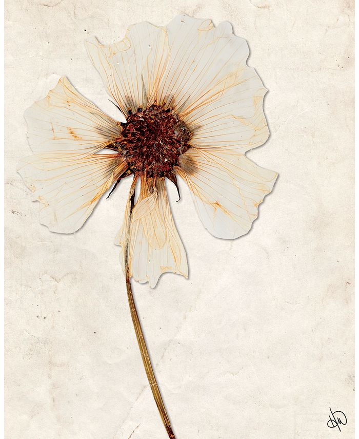 Creative Gallery - 