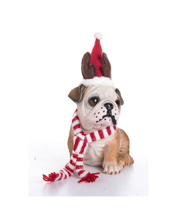 Macys bulldog sweater discount