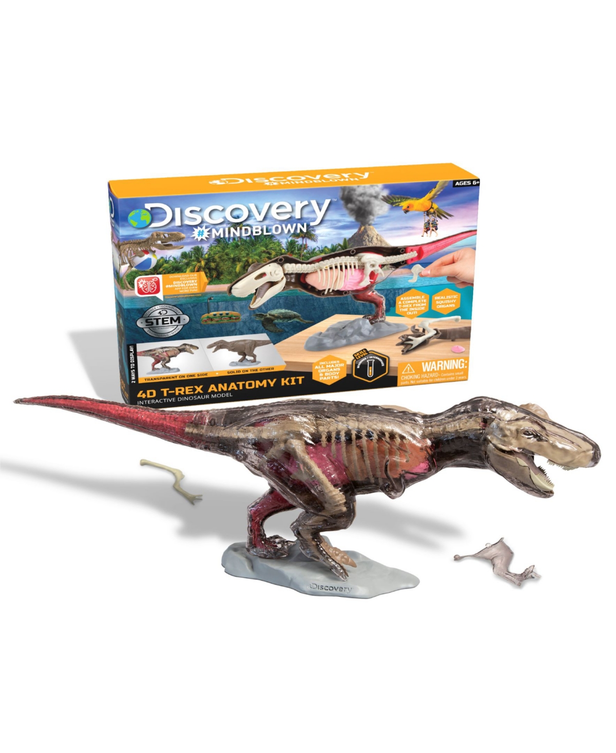 Discovery Mindblown Kids'  Toy Anatomy T-rex Kit In Various