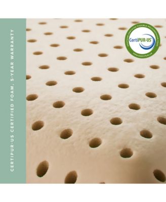 Dream Collection Coconut Aromatherapy Memory Foam Pillow, Queen