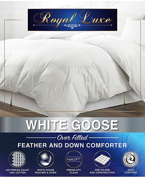 Royal Luxe White Goose Feather Down 240 Thread Count Twin