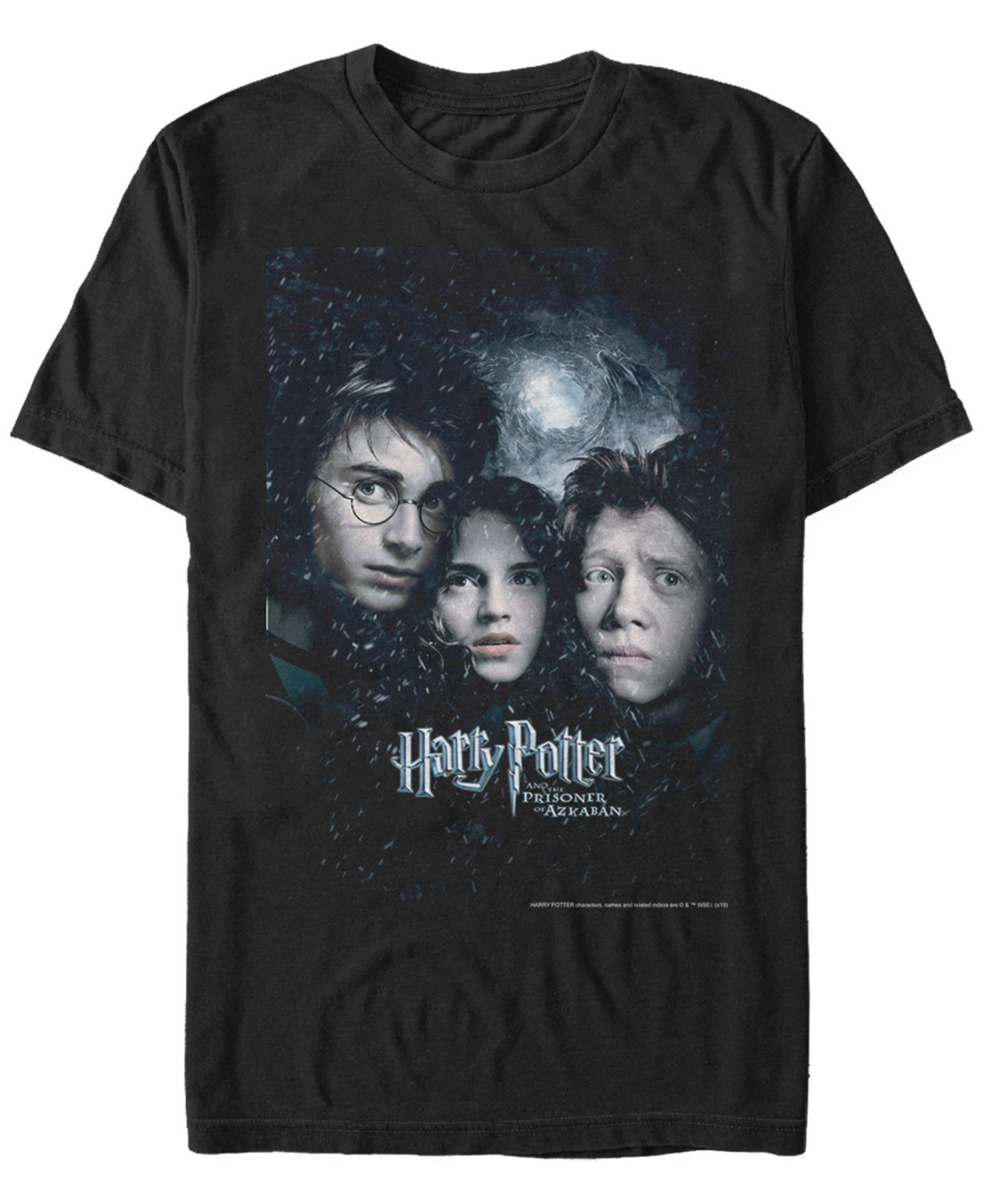 Мужская футболка Fifth Sun Harry Potter Prisoner of Azkaban Harry Ron Hermione Poster Short Sleeve — фото 1