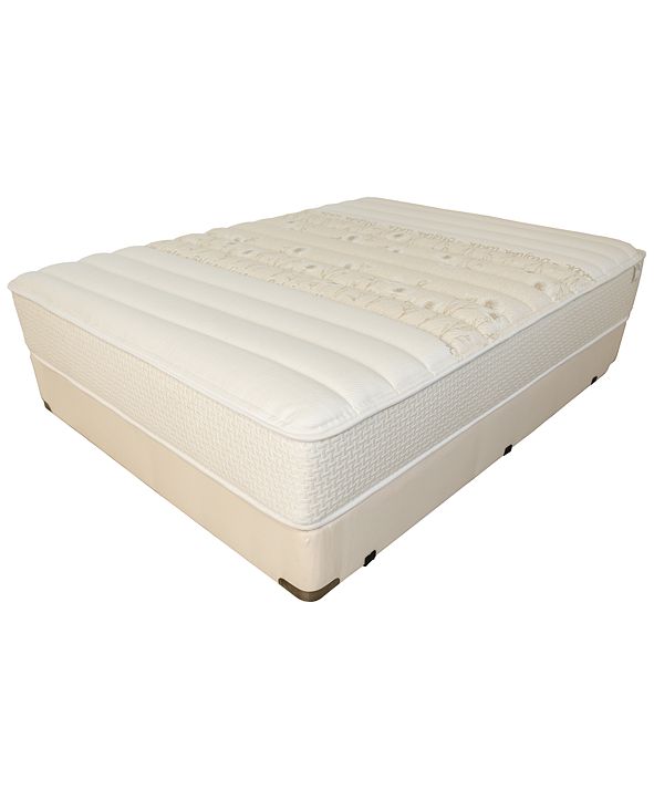 Paramount Nature's Spa by Eden 12" Cushion Firm Mattress ...