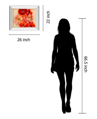 Classy Art Papaver Dreams by Harold Davis Mirror Framed Print Wall Art Collection