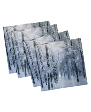 Ambesonne Winter Set of 4 Napkins 12